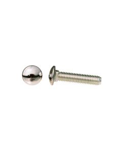 Bumper Mounting Bolts,Outer Front,S/S Capped,68-69