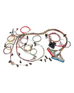 1998-2004 Camaro  LS1/LS6 EFI Harness
