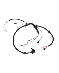 Engine Wiring Harness,w/o NB2 Cal Emissions,V8,1979