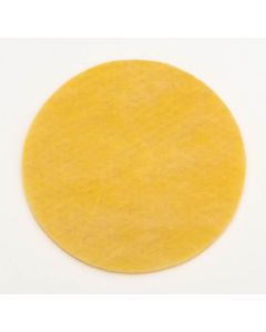 Camaro Charcoal Canister Filter Element, 1970-1981