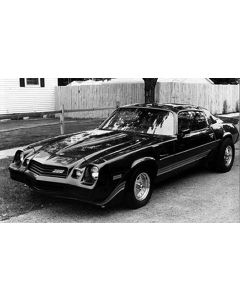 Camaro Strip Kit, Z28, Silver Charcoal, 1980-1981