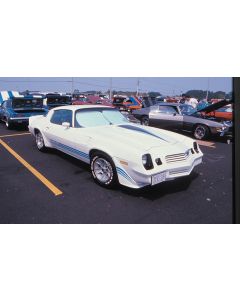 80-81 Z28 Stripe Kit W/Hood   Decal Dark Blue,Med Blue,Br Bl