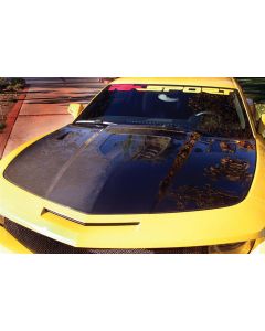Camaro Hood, Carbon Fiber, With Clear Window, 2010-2013