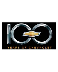 Black Metal Sign, 100th, 24" x 12"