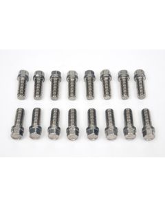 Camaro Exhaust Header Mounting Bolt Set, Big Block, Stainless Steel, 1967-69