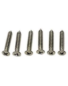 69 Headlamp Bezel Screw Set