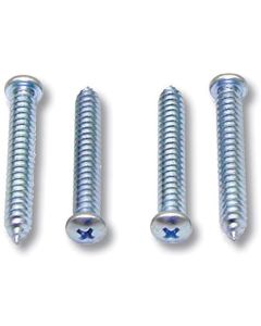 Camaro Door Grab Handle Mounting Screw Set, Deluxe Interior, 1968-1969