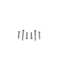 Pillar Post Molding Mounting Screw Set,Inner,1967