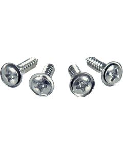 Pillar Post Molding Mounting Screw Set,Inner,68-69
