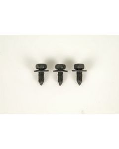 Headlight Door Vacuum Reservoir Mounting Bolts,RS,68-69
