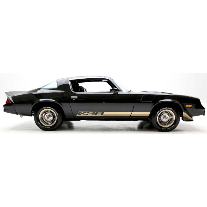1979 Z/28 Camaro Dual Color Stripe Kit
