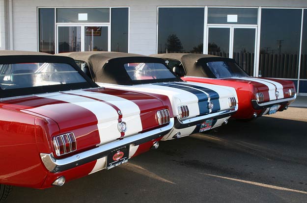 the-three-rear